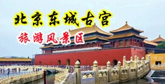 偷窥美女BBBB搓BBBB中国北京-东城古宫旅游风景区
